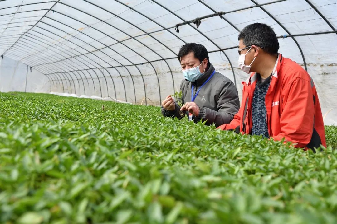 技术支持